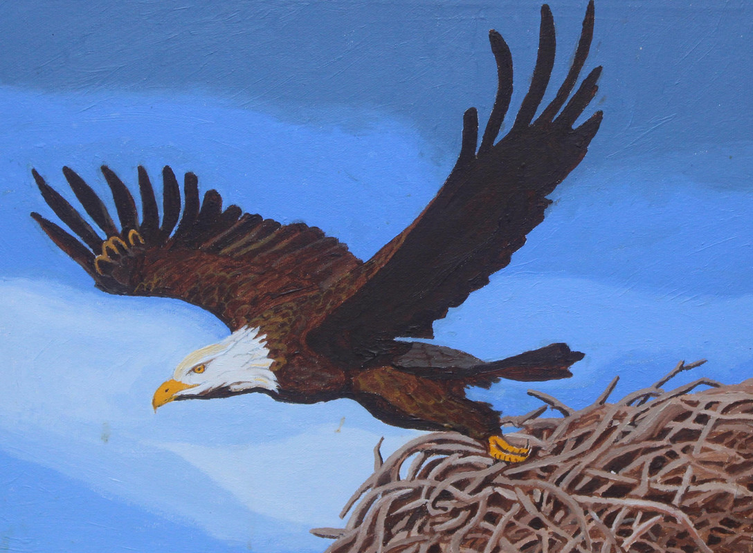 Eagle, Leaving Nest
