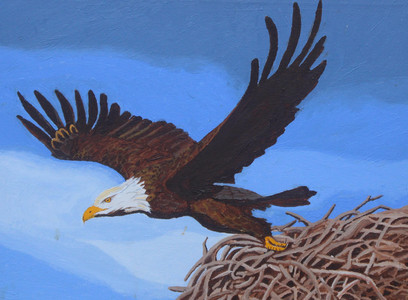 Eagle, Leaving Nest
