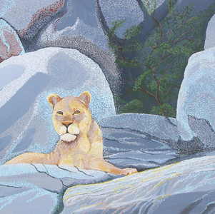 Lioness on a Kopje.