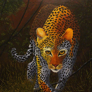Leopard in the Bush.