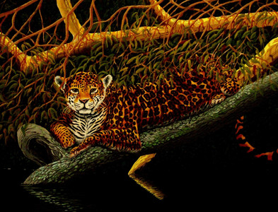 Jaguar by the River