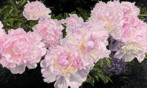 Peony Pirouettes