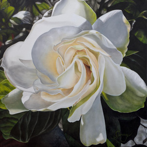 Gardenia