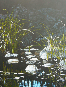 Pond Reflections