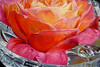 View #1