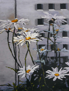 Leucanthemum II