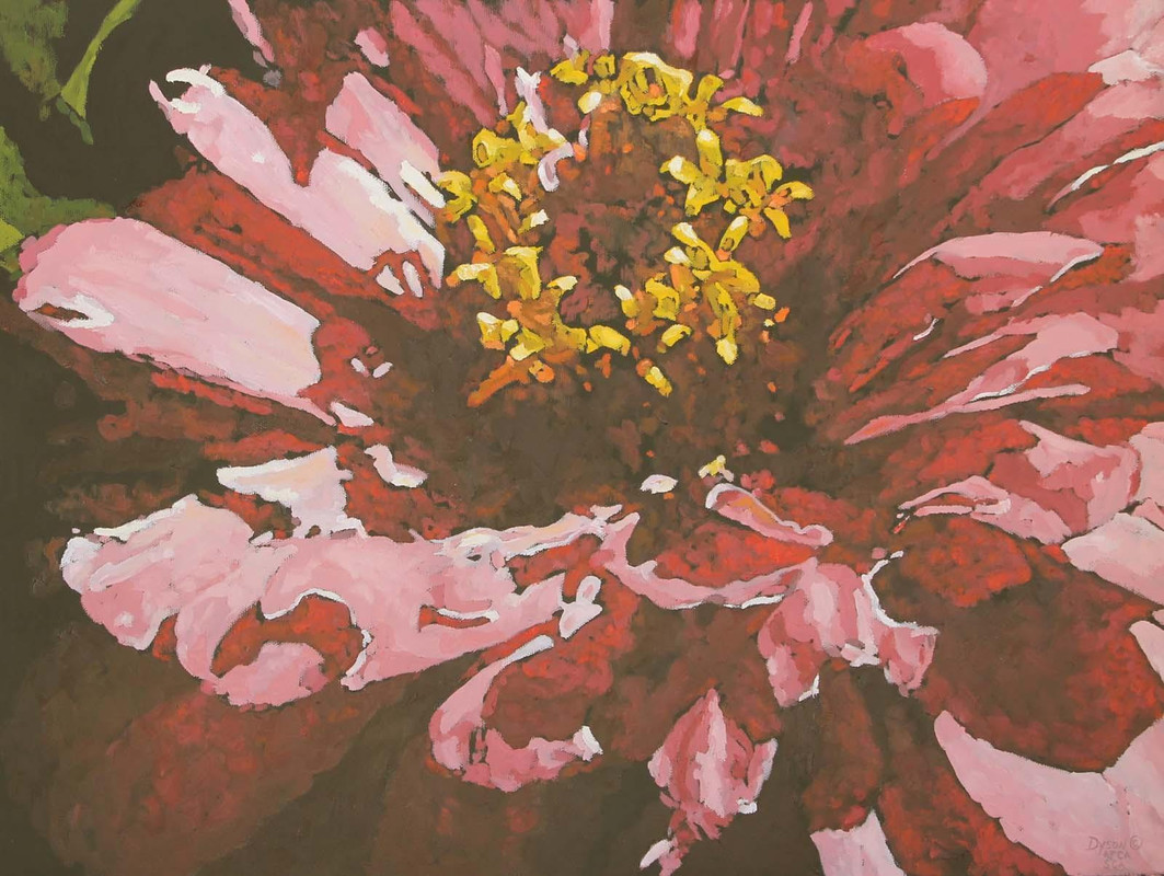 ASTERACEAE  II