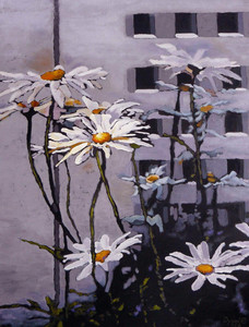 LEUCANTHEMUM II