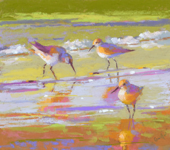 Sandpipers