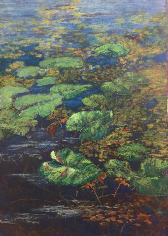 Waterlies