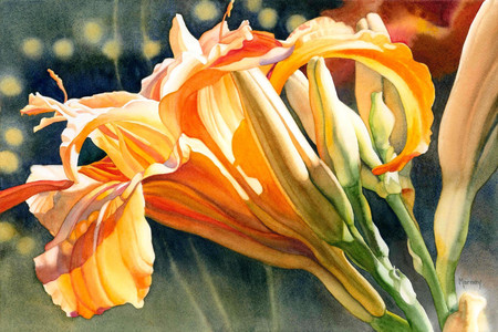 Orange Day Lily