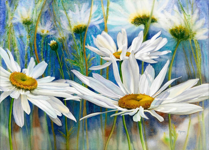 Daisies III