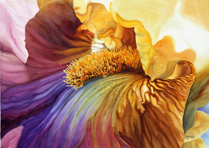 Iridescent Iris