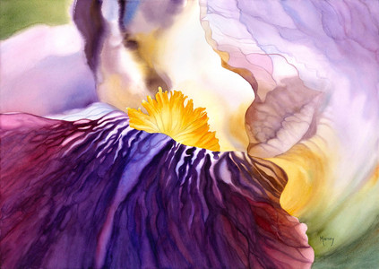 Amethyst Iris
