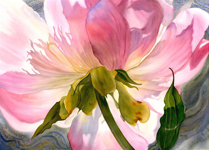 Light Filled Peony