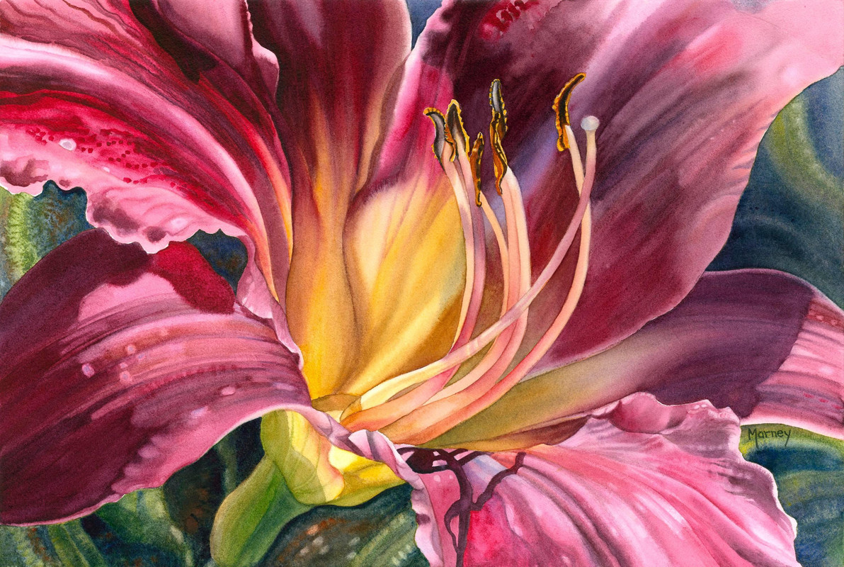 Burgundy Lily