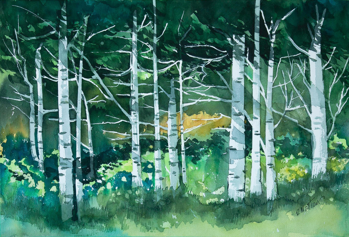 Aspens in Springtime