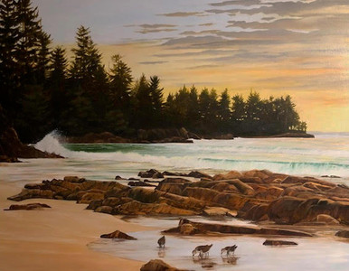 Surf and Sandpipers