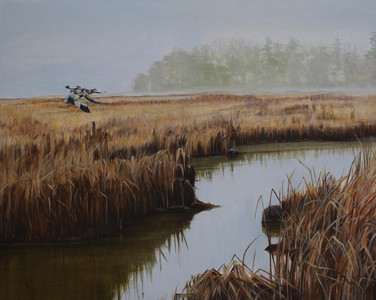 Wetlands