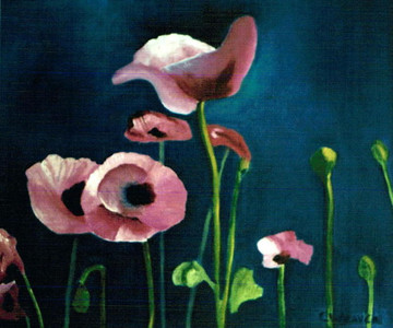 Pink Poppies #1