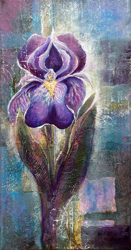 My only iris