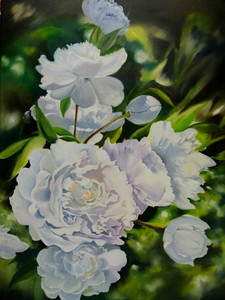 Peony Blooms