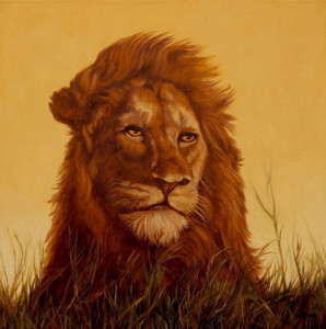 Lion in Wait