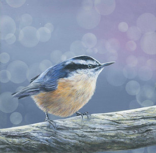 Nuthatch Blues