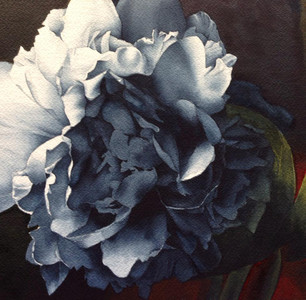 Deb's Peony