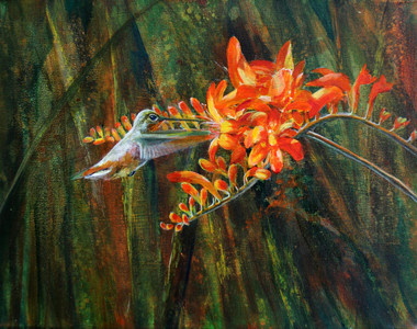 Hummingbird and Crocosmia