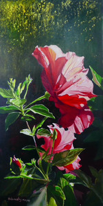 Hibiscus