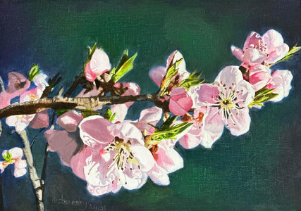 Peach Blossoms