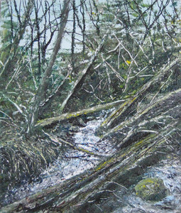 FOREST STREAM #4