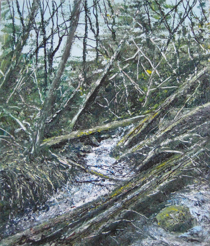 FOREST STREAM #4