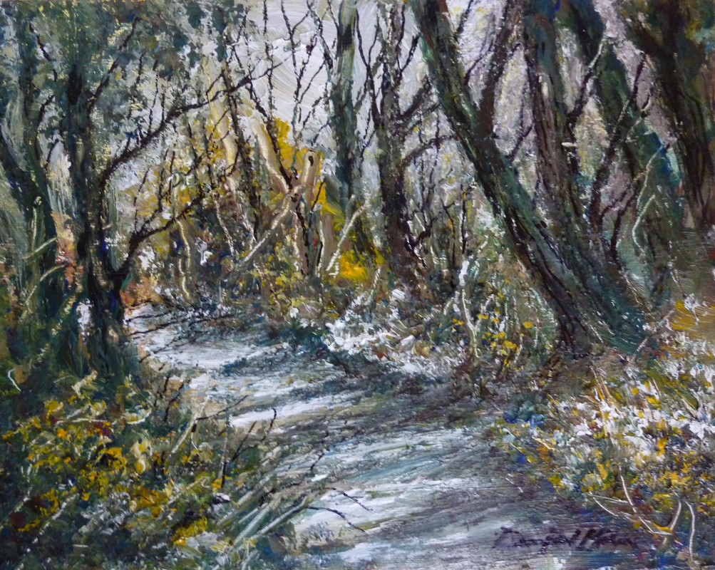 FOREST TRAIL