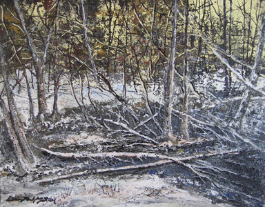 IN THE WOODS #3