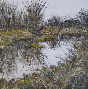 CATTLE POND-ANDYS FARM