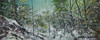 View #1