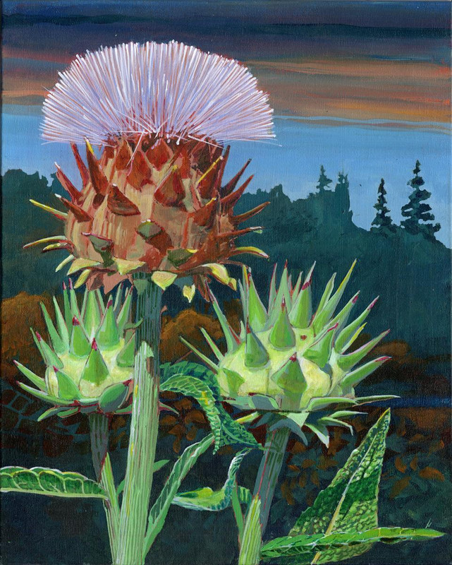  Desert Blossom 1