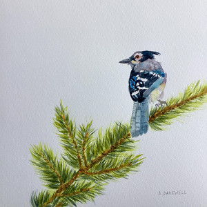 On A Limb