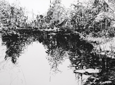 Hidden Pond, Haida Gwaii