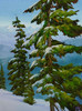 View #1