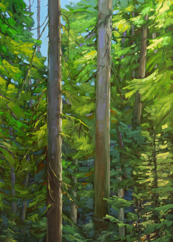 Whyte Lake Afternoon