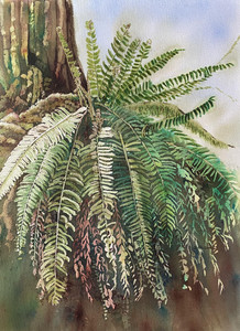 Fronds and Fiddles
