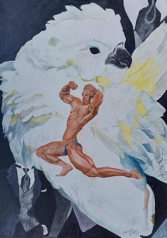Plumage