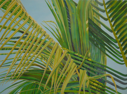 Palm Fronds