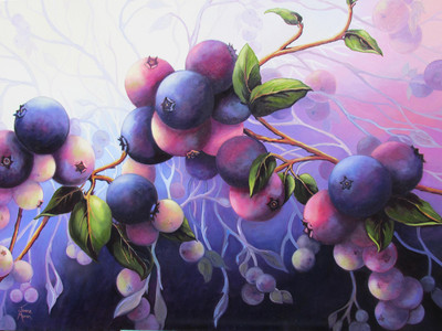 Wild Blueberries 9