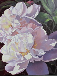 Kathy's Peonies