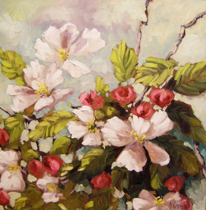 Apple Blossoms