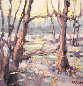 Snowy River
